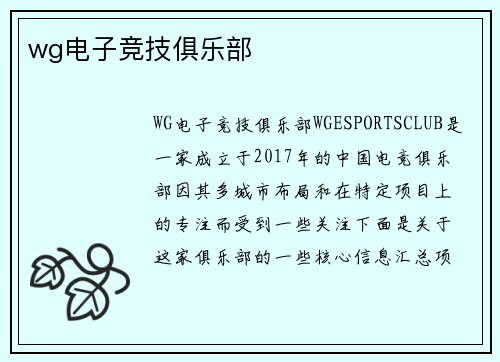 wg电子竞技俱乐部
