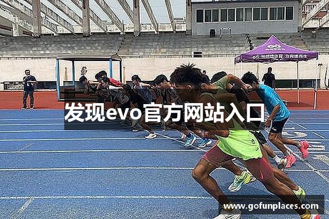 发现evo官方网站入口